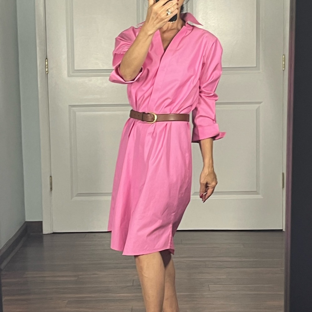 Foxcropt Taylor non iron pink Button Down Shirt dress size 8 - Picture 2 of 13